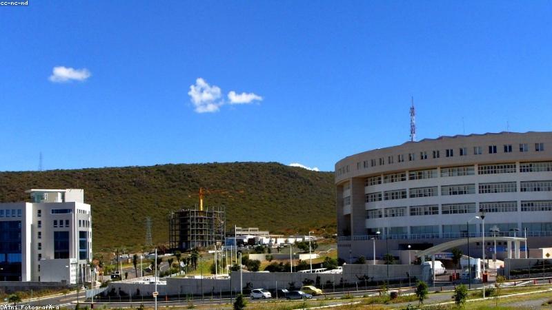 磁力下载网站首页展示海量BT资源与磁力搜索入口
